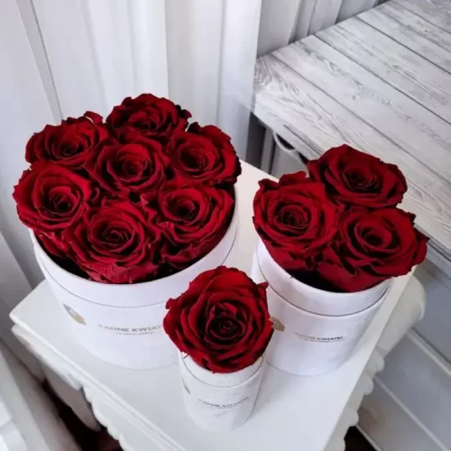 Flowerboxy z Wiecznych Róż: Elegancja i Trwałość na Wyciągnięcie Ręki